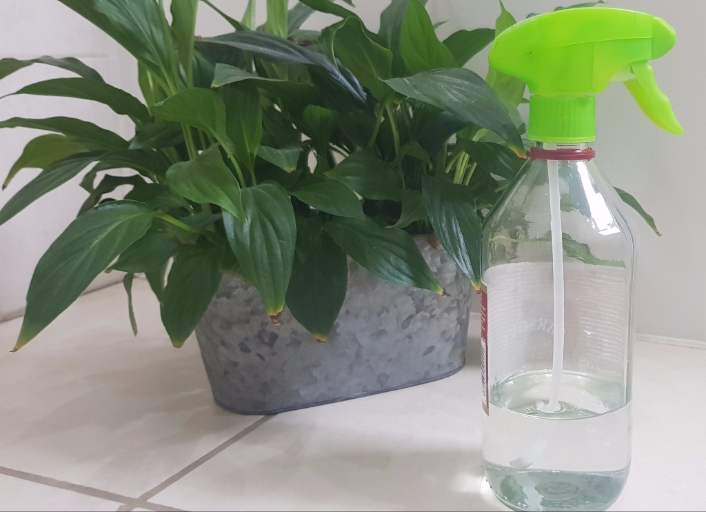 My homemade all-purpose natural cleaner recipe